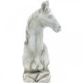 Floristik24 Arklio galvos krūtinė deko figūrėlė arklio keramika balta, pilka H31cm