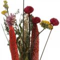 Floristik24 Džiovintų gėlių puokštė su pievų gėlėmis rožinės spalvos DIY rinkinys H30-35cm