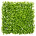 Floristik24 Dirbtinis buksmedžio augalų kilimėlis 55x55 cm dekoratyviniam sienų dizainui