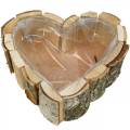 Floristik24 Sodinamoji, širdelės formos medinis dubuo, beržo medžio vazonas, širdelė 27 × 28cm