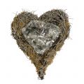 Floristik24 Augalo širdelė iš vynmedžių ir samanų gamtos 20cm x 14cm