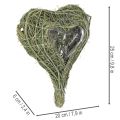 Natūralaus augalo širdis floristikai su folija, 25 cm | Floristik24.lt