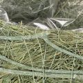 Širdies formos dubuo iš natūralios žolės su sodinimo folija, 38 cm | Floristik24.lt