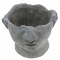 Floristik24 Augalų galvos biustas iš betono skirtas sodinti pilkas H12cm 2vnt
