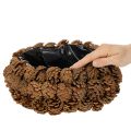 Apvalus pušies kankorėžių sodinimo dubuo, 30 cm | Floristik24.lt