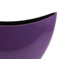 Floristik24 Augalinės valties dekoratyvinis dubuo violetinis 20×9cm H12cm