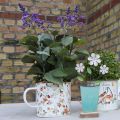 Floristik24 Augalinis puodelis Emalio puodelis gėlėms sodinti Ø11cm