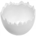Floristik24 Augalinis vazonas kiaušinio lukštas baltas Ø12cm H9cm 2vnt