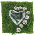 Floristik24 Augalinės pagalvėlės širdelės samanos ir kūgiai, skalbti balti 25 × 25 cm