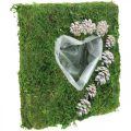 Floristik24 Augalinės pagalvėlės širdelės samanos ir kūgiai, skalbti balti 25 × 25 cm