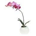 Floristik24 Dirbtinės orchidėjos vazone Phalaenopsis dirbtinės gėlės orchidėjos rožinės spalvos 34cm