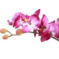 Floristik24 Dirbtinės orchidėjos vazone Phalaenopsis dirbtinės gėlės orchidėjos rožinės spalvos 34cm