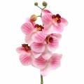 Floristik24 Dirbtinė orchidėjos šakelė Phaelaenopsis Pink H49cm