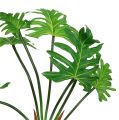 Floristik24 Filodendro augalas dirbtinis žalias 58cm