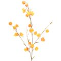 Floristik24 Dirbtinis kiniškas žibintas, fizalis su žiedais, 95 cm