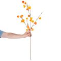 Dirbtinis kiniškas žibintas, fizalis su žiedais, 95 cm | Floristik24.lt