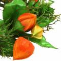 Dirbtinis fizaliso vainikas, oranžinis ir žalias, Ø28cm, rudens dekoracija | Floristik24.lt