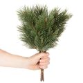 Dirbtinių pušies šakų dekoratyvinis ryšulėlis kompozicijoms 39cm 6vnt. | Floristik24.lt