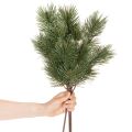 Dirbtinė pušies šaka kaip dekoratyvinė eglės šaka, 55 cm, 3 vnt. | Floristik24.lt