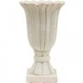 Floristik24 Sodinamoji, puodelis tulpė, dekoratyvinė taurė, amfora sodinimui Ø14,5cm H25,5cm