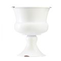Floristik24 Puodelio vaza dekoratyvinis puodelis baltos rūdžių Ø13.5cm H15cm Shabby Chic