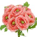 Floristik24 Ranunculus rožinė-rožinė 27cm 8vnt