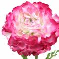 Floristik24 Ranunculus rožinis dirbtinis 48cm