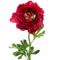 Floristik24 Ranunculus tamsiai rožinė dirbtinė 51cm