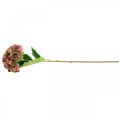 Hortenzija dirbtinė rožinė, Bordo dirbtinė gėlė didelė 80cm