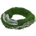 Floristik24 Samanų vainiko augalo žiedas su vijokliais ir samanų žaliais, baltas Ø35cm