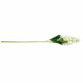 Floristik24 Panicle Hortenzija Cream White Dirbtinė hortenzijos šilko gėlė 98cm