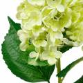 Floristik24 Dirbtinė panicle hortenzija, hortenzijos žalia, aukštos kokybės šilkinė gėlė 98cm
