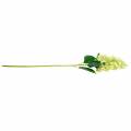 Floristik24 Dirbtinė panicle hortenzija, hortenzijos žalia, aukštos kokybės šilkinė gėlė 98cm