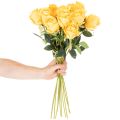 Dirbtinė rožė su ilgu kotu, dirbtinė gėlė, 62 cm, 12 vnt. | Floristik24.lt