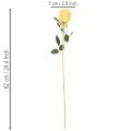 Dirbtinė rožė su ilgu kotu, dirbtinė gėlė, 62 cm, 12 vnt. | Floristik24.lt