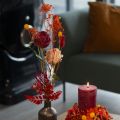 Dirbtinė rožė su ilgu kotu, raudona dirbtinė gėlė, 62 cm, 12 vnt. | Floristik24.lt