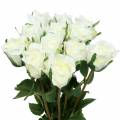 Floristik24 Rožė balta 42cm 12vnt