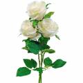 Floristik24 Balta rožė ant stiebo Šilkinės gėlės Dirbtinė rožė 3 vnt