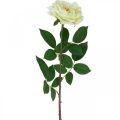 Floristik24 Dirbtinė rožė, dekoratyvinė rožė, šilkine gėlė kreminė balta, žalia L72cm Ø12cm