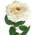 Kreminė balta abrikosinė rožė, šilkinė gėlė, dirbtinės rožės L72cm Ø12cm