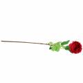 Floristik24 Rožė dirbtinė gėlė raudona 72cm