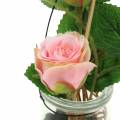 Floristik24 Rožė rožinėje stiklinėje H23cm