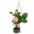 Floristik24 Rožė rožinėje stiklinėje H23cm