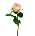 Dirbtinė rožių kreminė-rožinė Ø9cm L45cm 1vnt