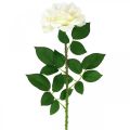 Floristik24 Šilkinė gėlė, rožė ant stiebo, dirbtinis augalas kreminis baltas, rožinis L72cm Ø13cm