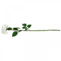 Floristik24 Balta rožė netikra rožė ant stiebo Šilkinė gėlė netikra rožė L72cm Ø13cm