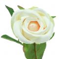 Floristik24 Dirbtinis rožių kremas 44cm 6vnt