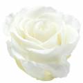 Floristik24 Infinity rožės didelės Ø5,5-6cm baltos 6vnt