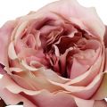 Floristik24 Rožių galvos kremas, rožinis 17cm 4vnt