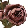 Floristik24 Dirbtinė rožės šakelė violetinė 76cm